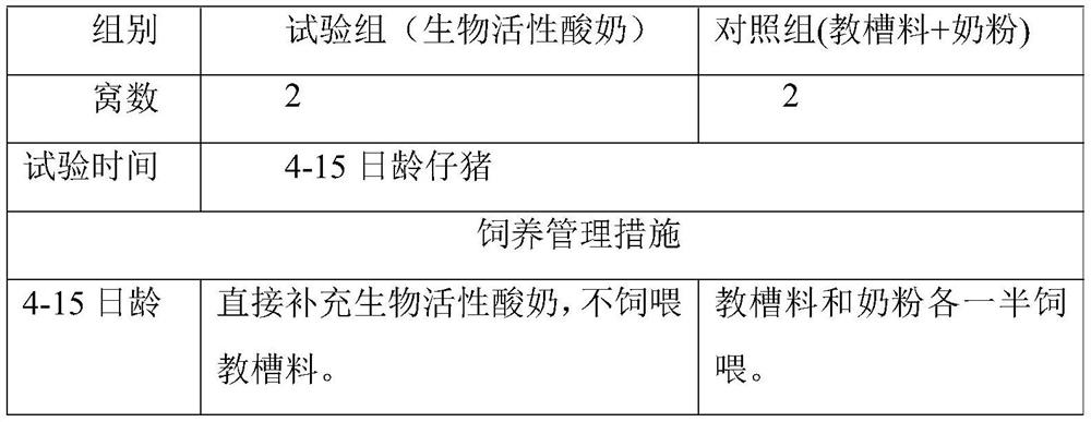 Preparation method and application of bioactive yoghourt for piglets