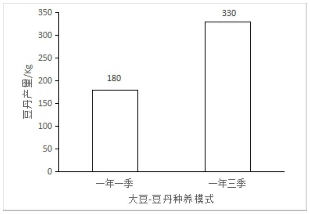 Soybean-clanis bilineata larva one-year three-season planting and breeding mode