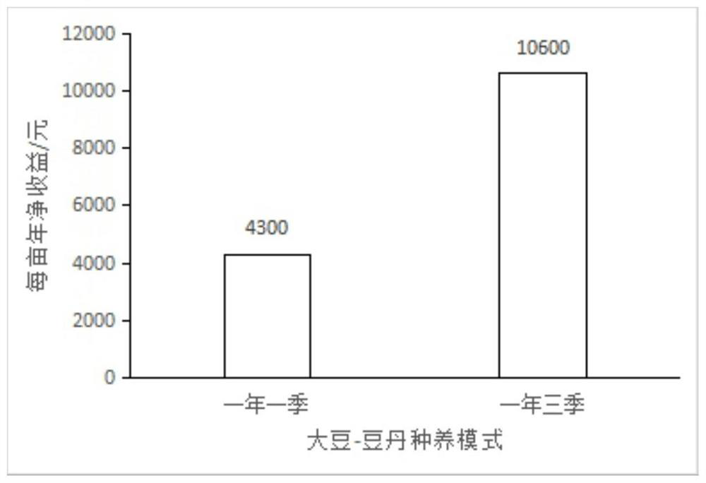 Soybean-clanis bilineata larva one-year three-season planting and breeding mode