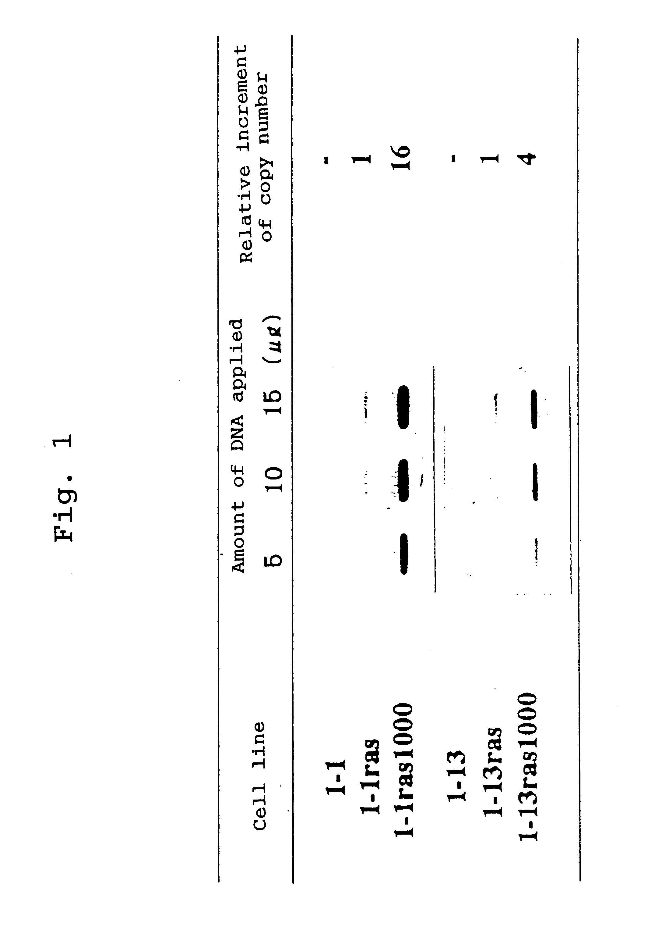 Tumor cells having tumorigenic potential but lacking invasive/metastatic potential, method for preparing them and screening method for metastasis-related genes using the same