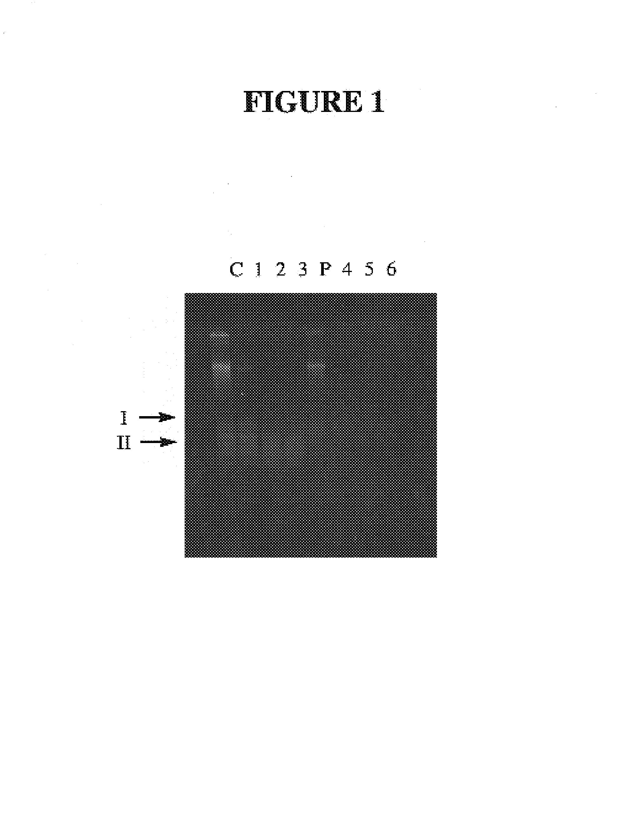 Microbial production of nuclease resistant DNA, RNA, and oligo mixtures