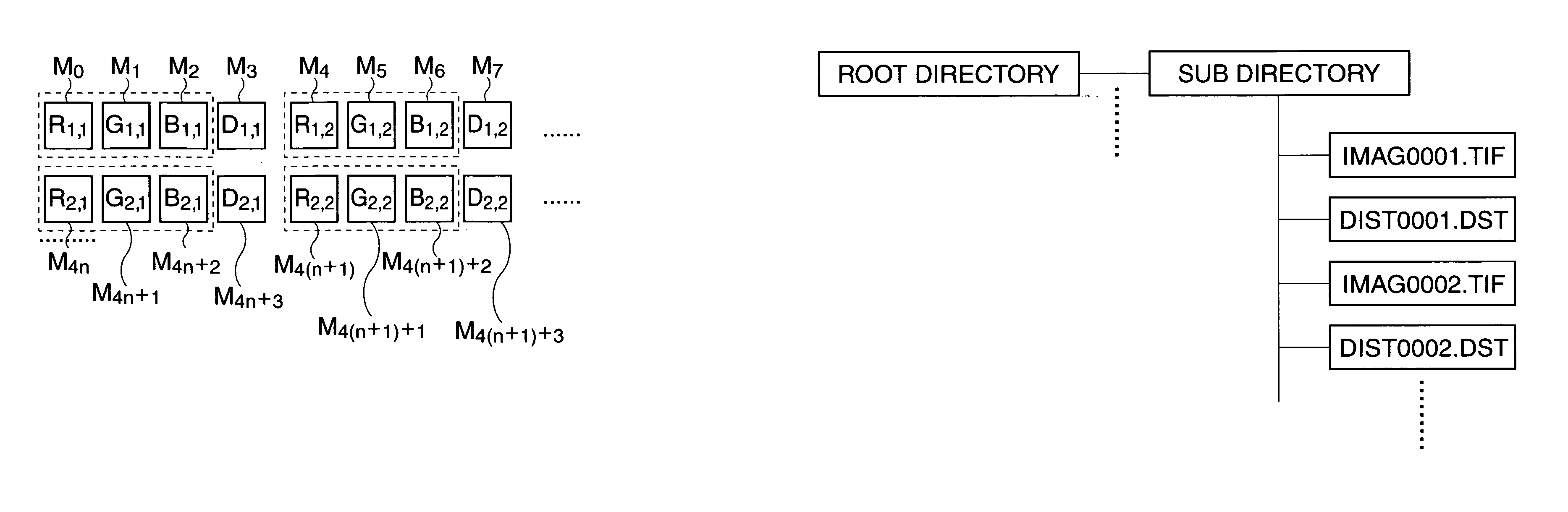 Three-dimensional image capturing device and recording medium