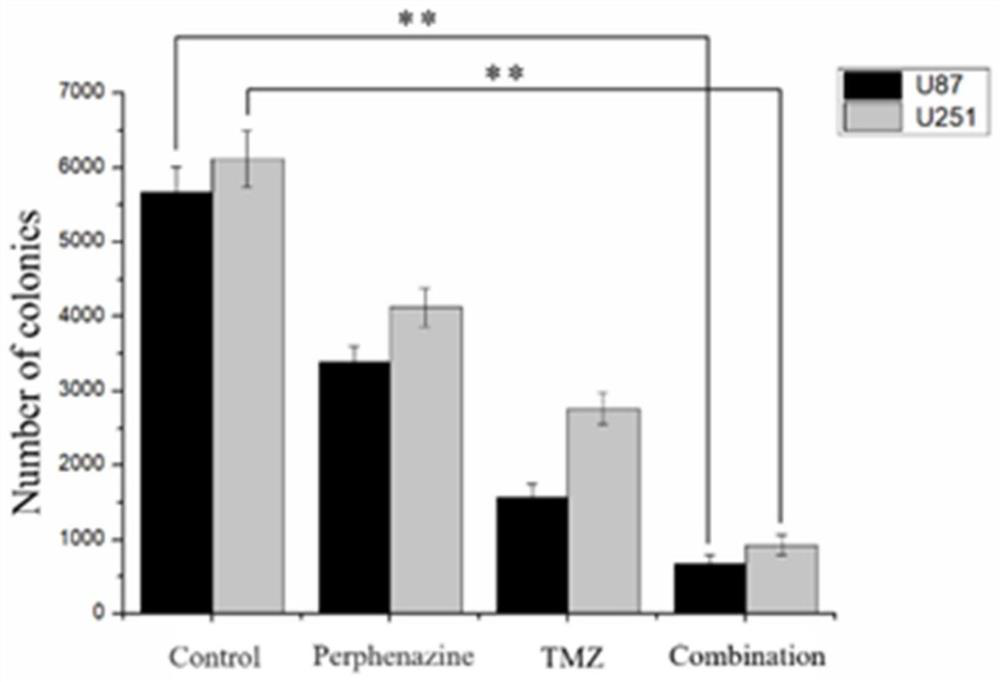 Combined medication mode for synergistically treating human brain glioma