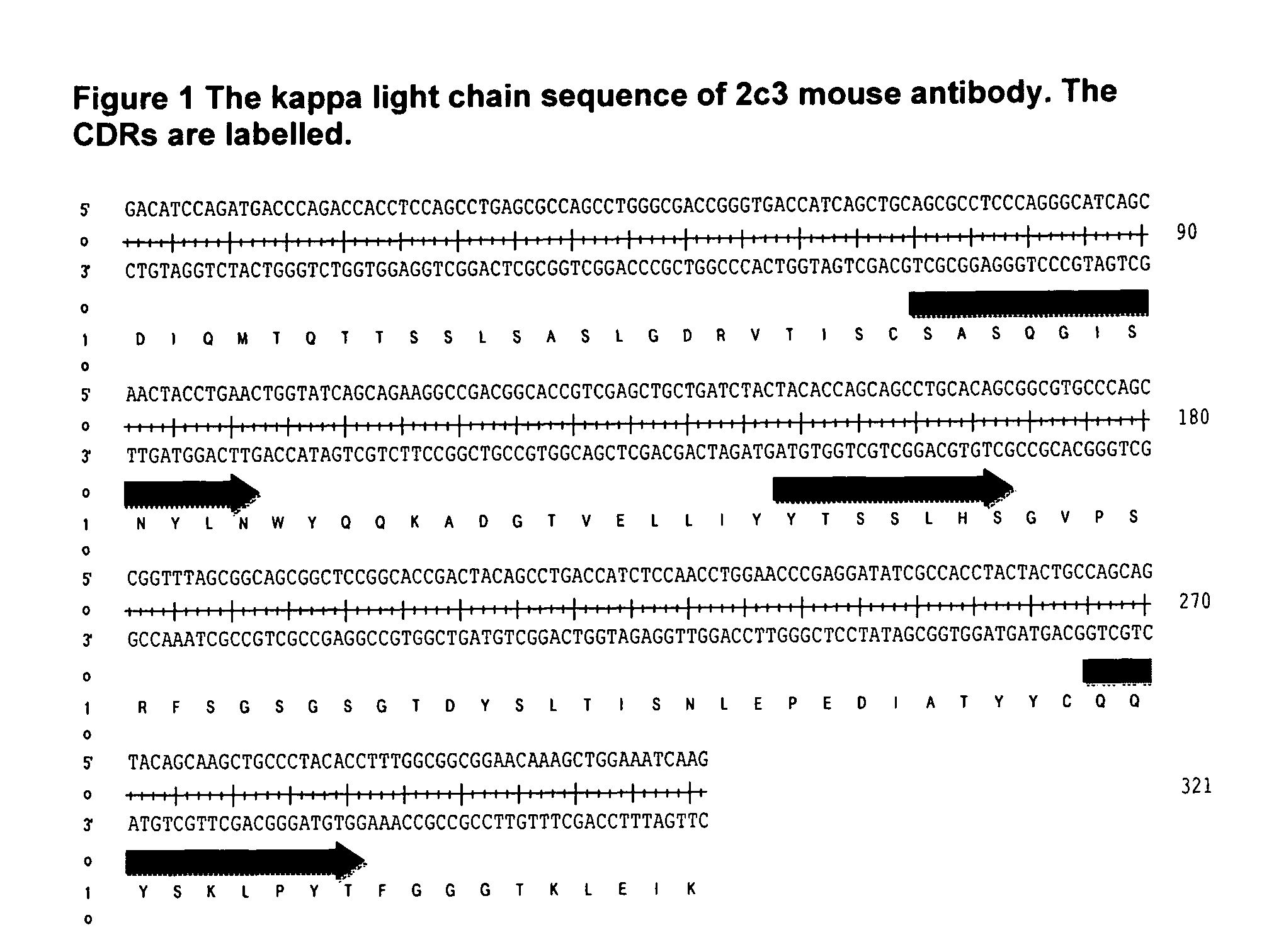 Antibodies against IL-25