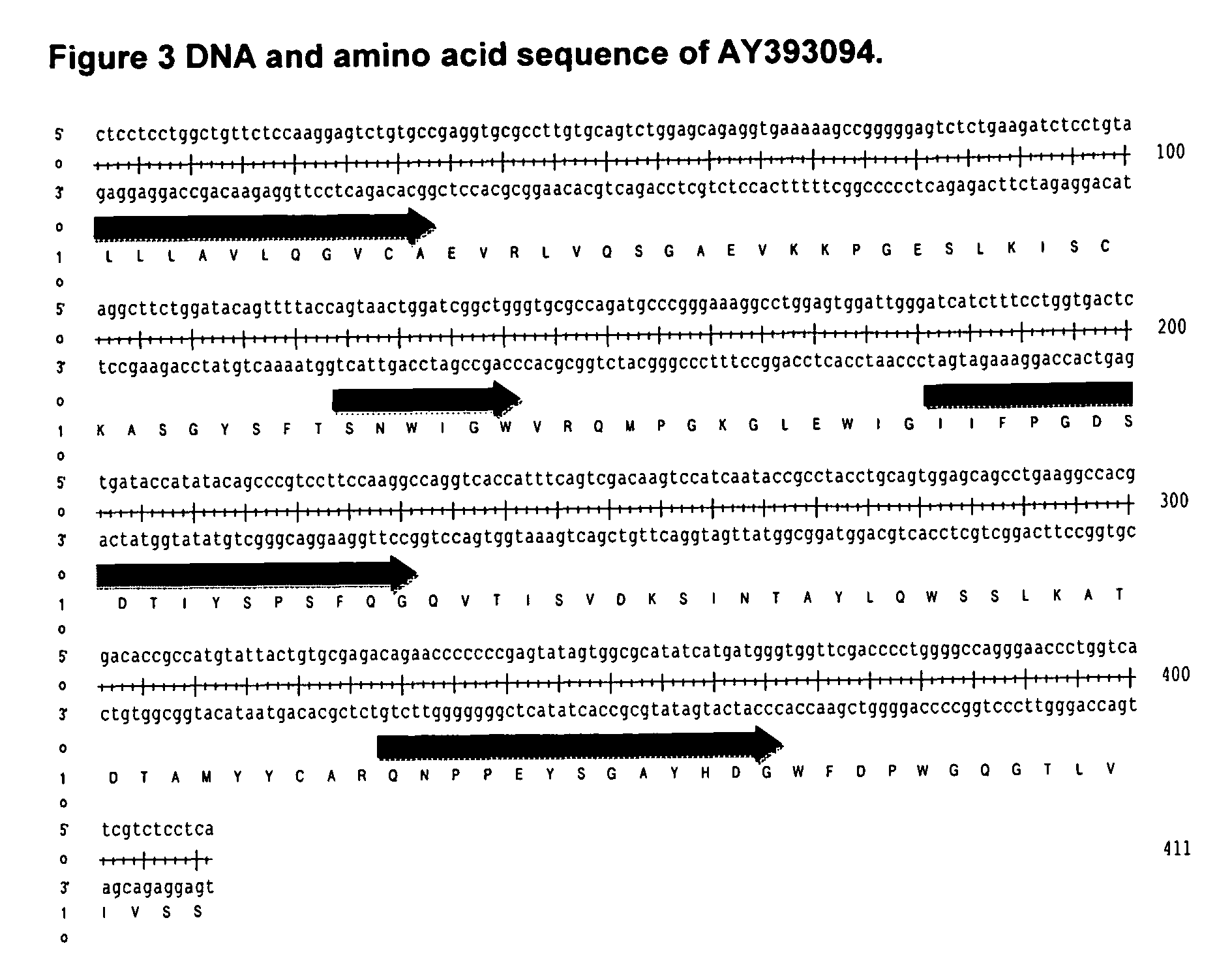 Antibodies against IL-25