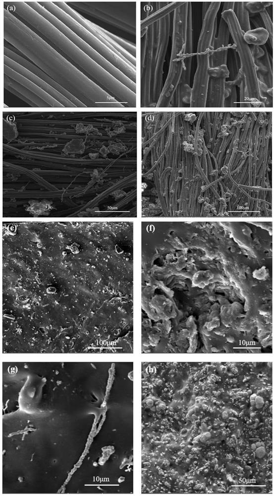 High-strength and high-conductivity layered silicone rubber composite material and preparation method thereof