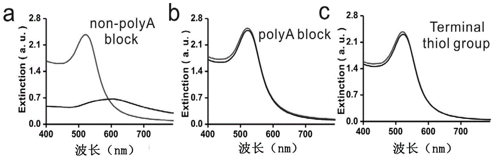 A kind of nano-gold composite and its preparation and application