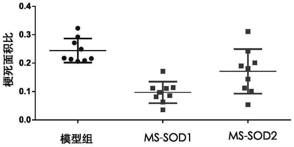 Application of manganese type high-stability superoxide dismutase in prevention or treatment of cerebral apoplexy