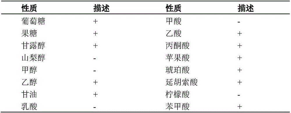 Thiobacillus thioparus and high-activity culture method