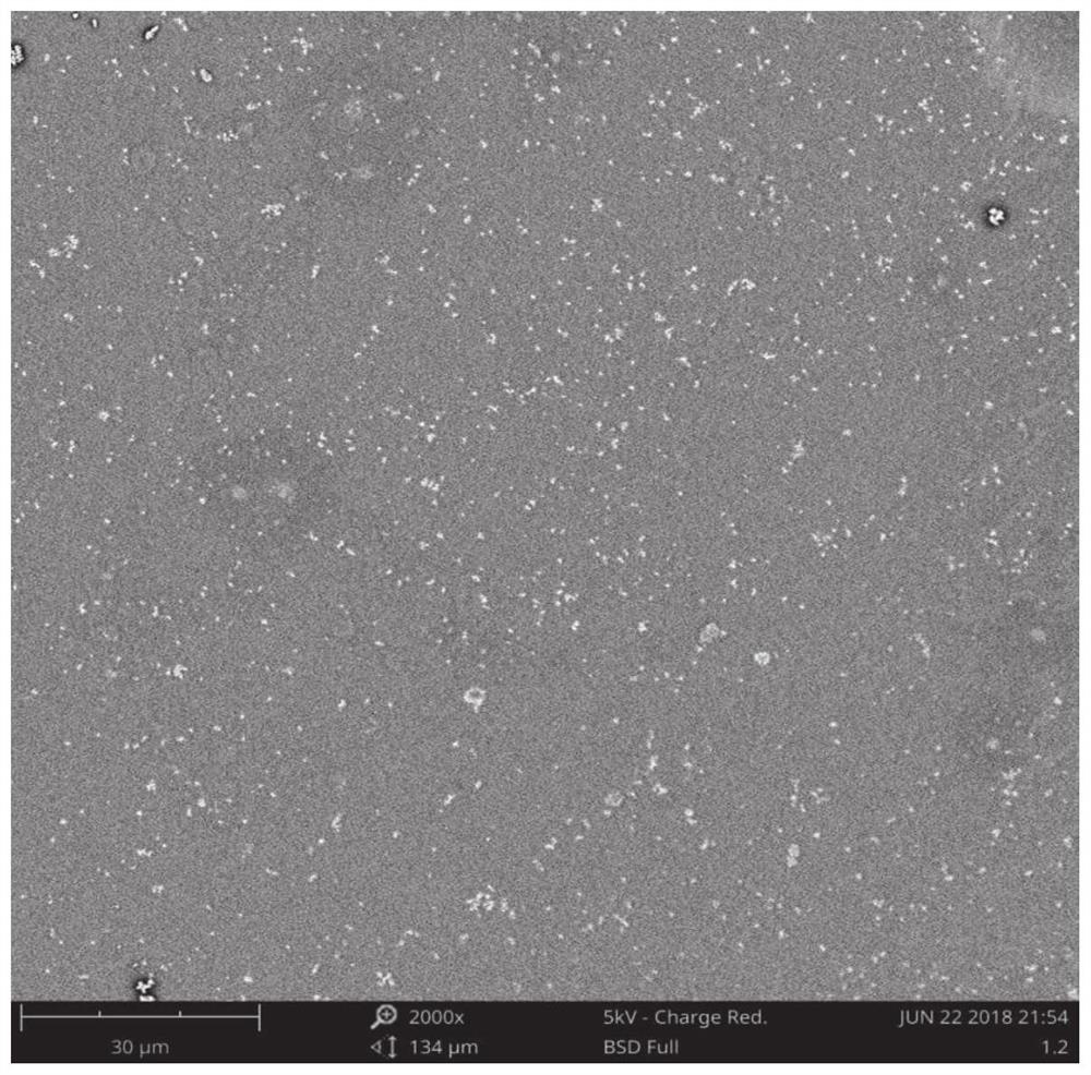 An organically encapsulated magnetic nanoparticle composite bone scaffold and its preparation method