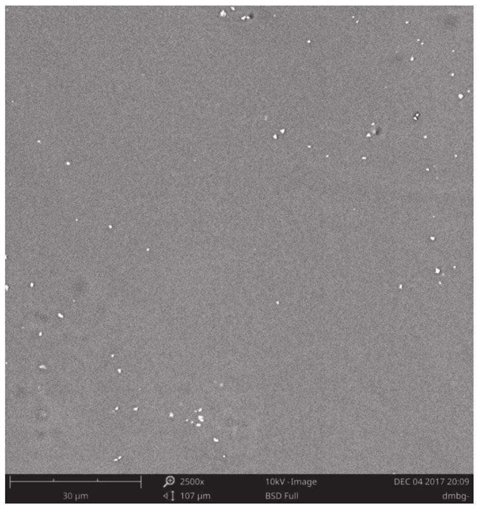 An organically encapsulated magnetic nanoparticle composite bone scaffold and its preparation method