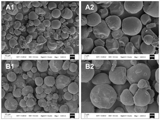 Preparation method of cationic starch-based glutathione peroxidase