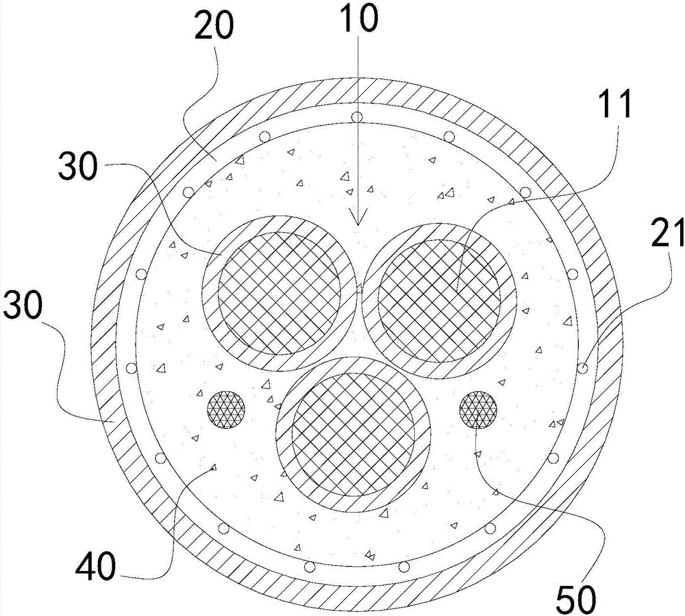 A kind of armored polyphosphazene insulated cable