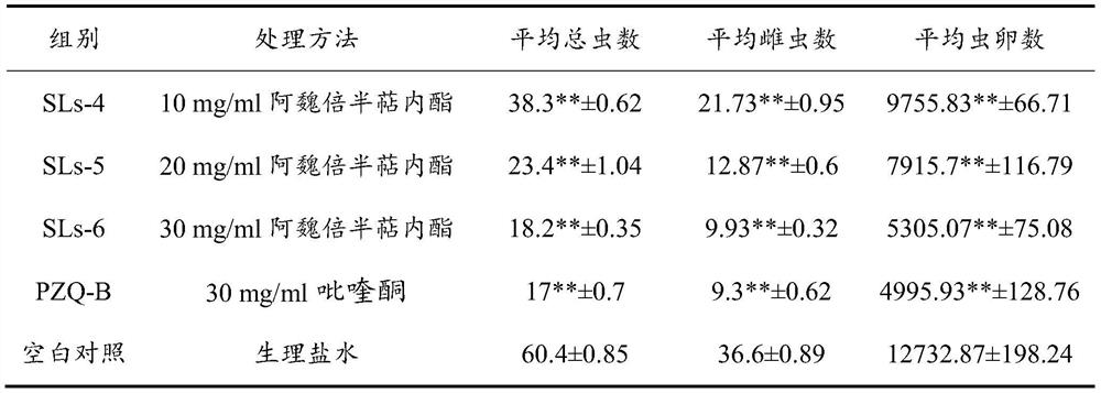 Application of ferula asafoetida sesquiterpene lactone in preparation of anti-schistosomiasis drug