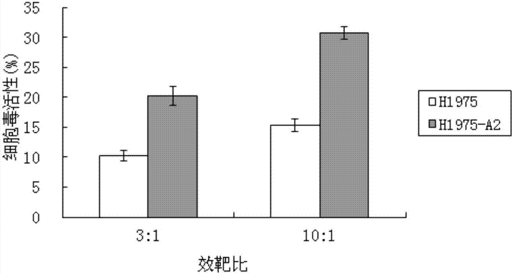 Antigen peptide T790M-6 and application to preparation of medicines for treating non-small cell lung cancer thereof