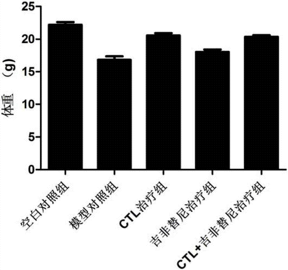 Antigen peptide T790M-6 and application to preparation of medicines for treating non-small cell lung cancer thereof