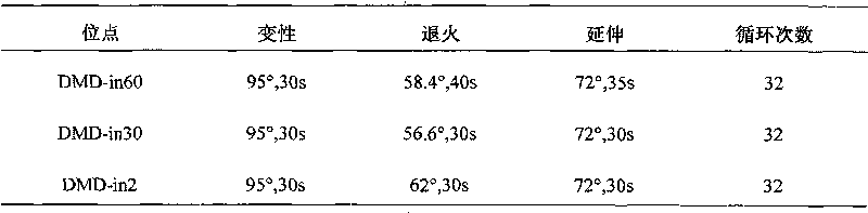 Three novel human dystrophin gene STR loci and typing method thereof