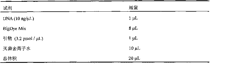 Three novel human dystrophin gene STR loci and typing method thereof