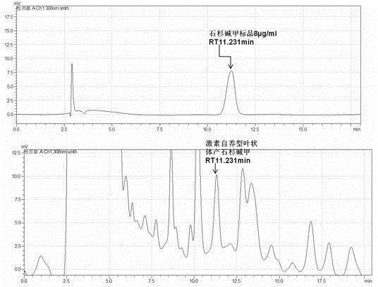 Hormone-autotrophic huperzia serrata in-vitro thallus cloning line for producing huperzine-a