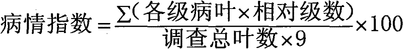 Bactericidal composite with active ester