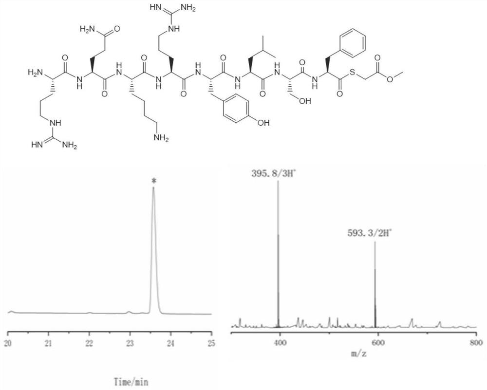 Thioester peptide synthesis method