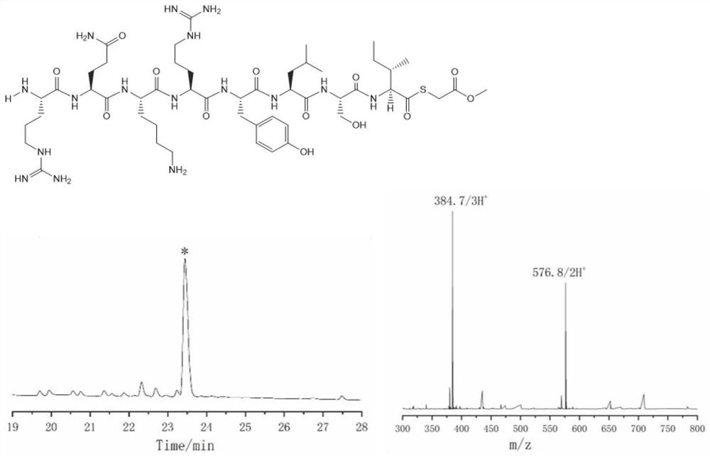 Thioester peptide synthesis method