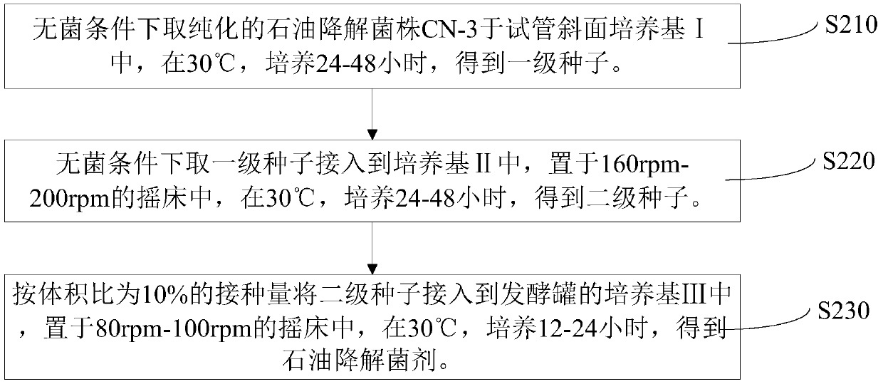 Petroleum degrading strain and separation method thereof and petroleum degrading microbial agent and preparation method and application thereof