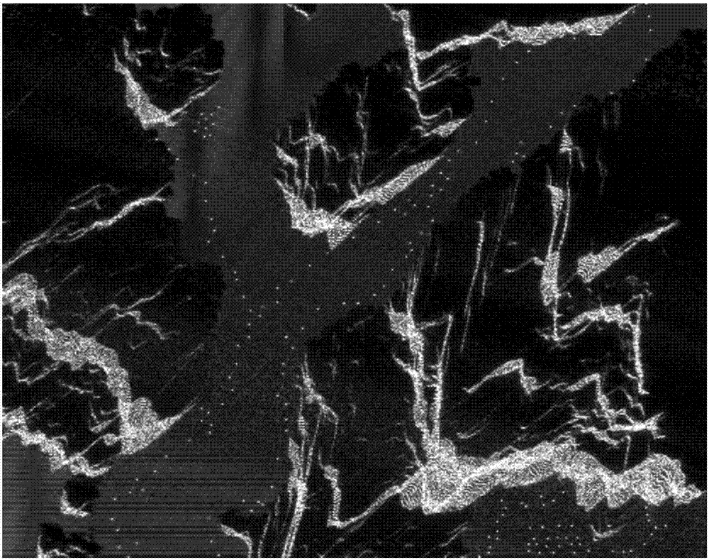 Multi-angle SAR image fusion method with local image index optimization