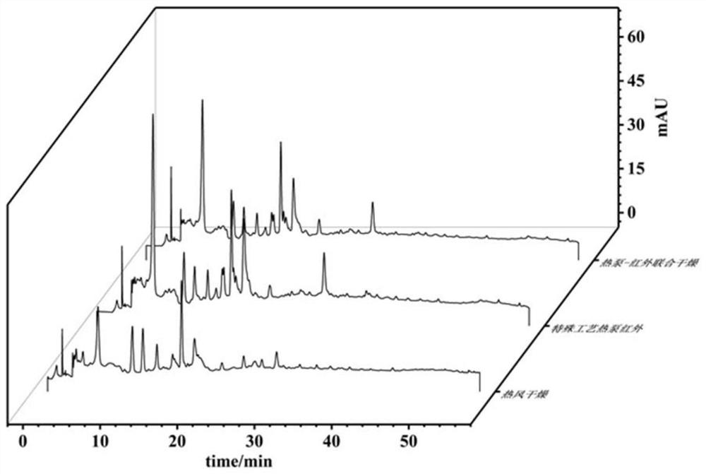 Intermittent drying process for improving bonded phenol in litchi pomace and application thereof