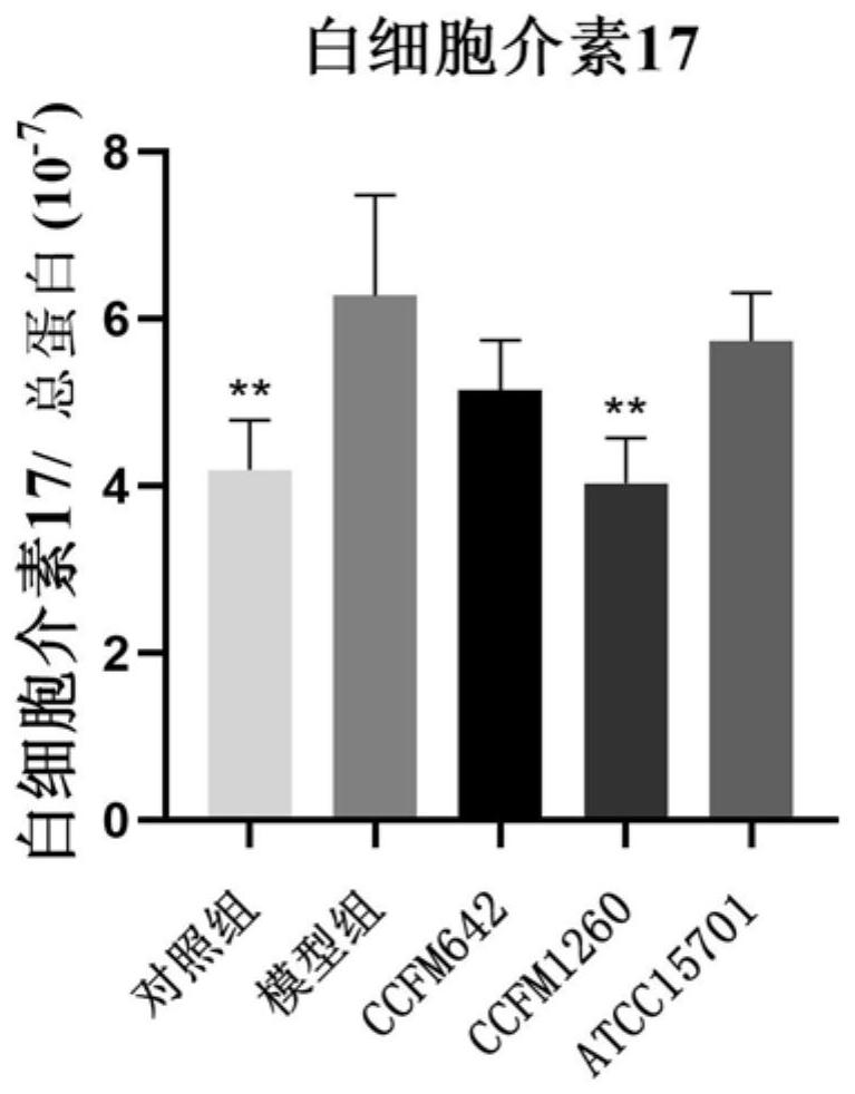 Bifidobacterium breve capable of down-regulating IL-17 and relieving constipation and application of bifidobacterium breve