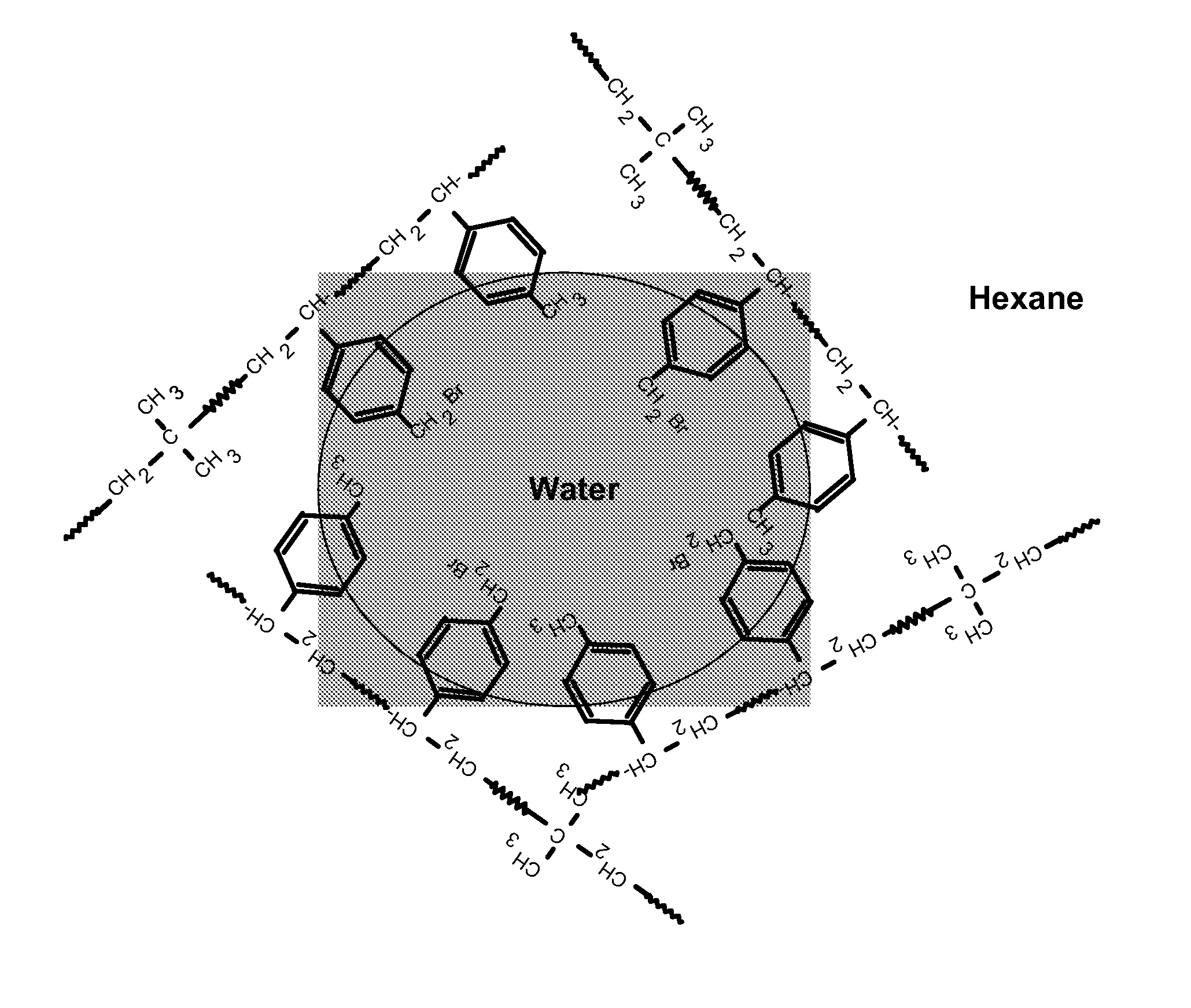 Polymer-Clay Nanocomposite and Process for Preparing the Same