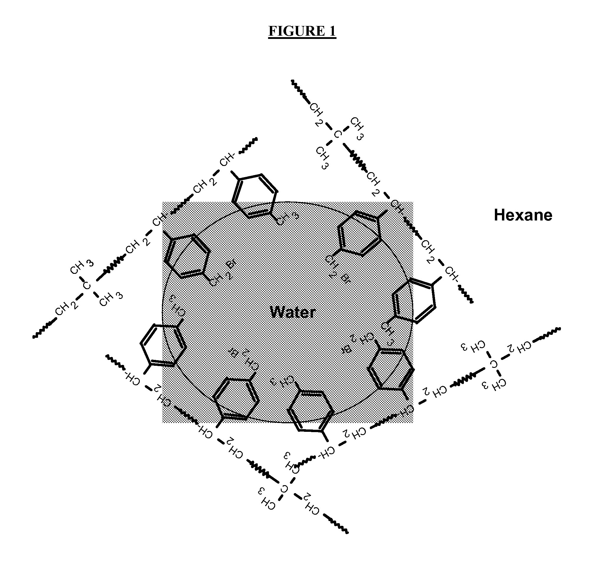 Polymer-Clay Nanocomposite and Process for Preparing the Same