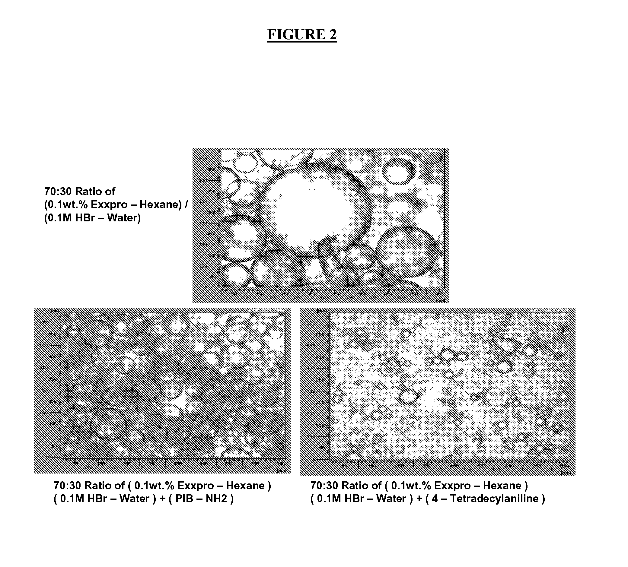 Polymer-Clay Nanocomposite and Process for Preparing the Same