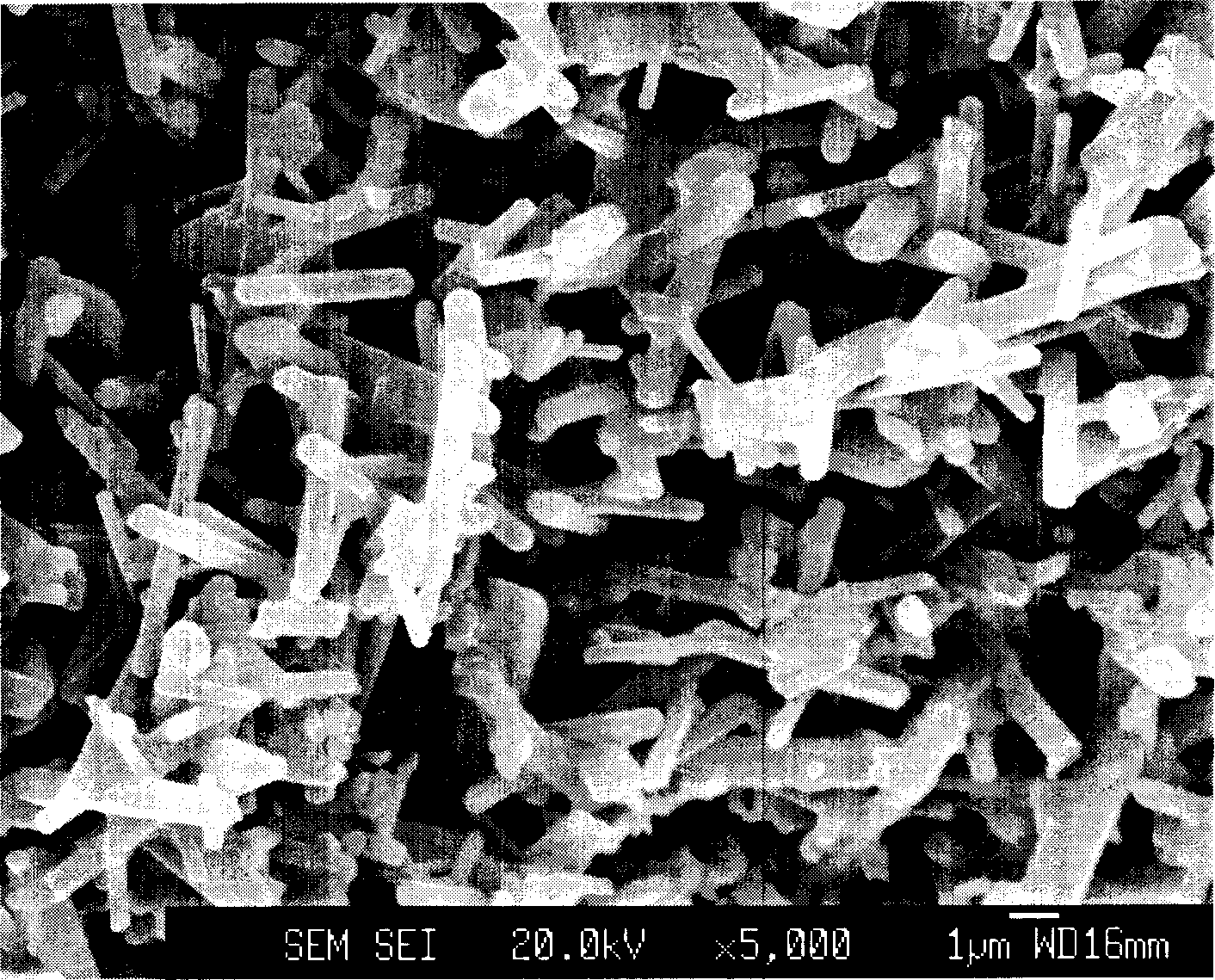 Silicon nitride porous ceramics and its preparing method