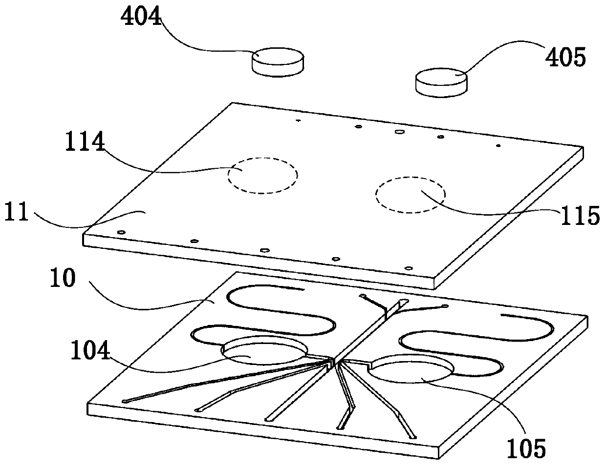 Microfluidic chip and microfluidic cell sorting system