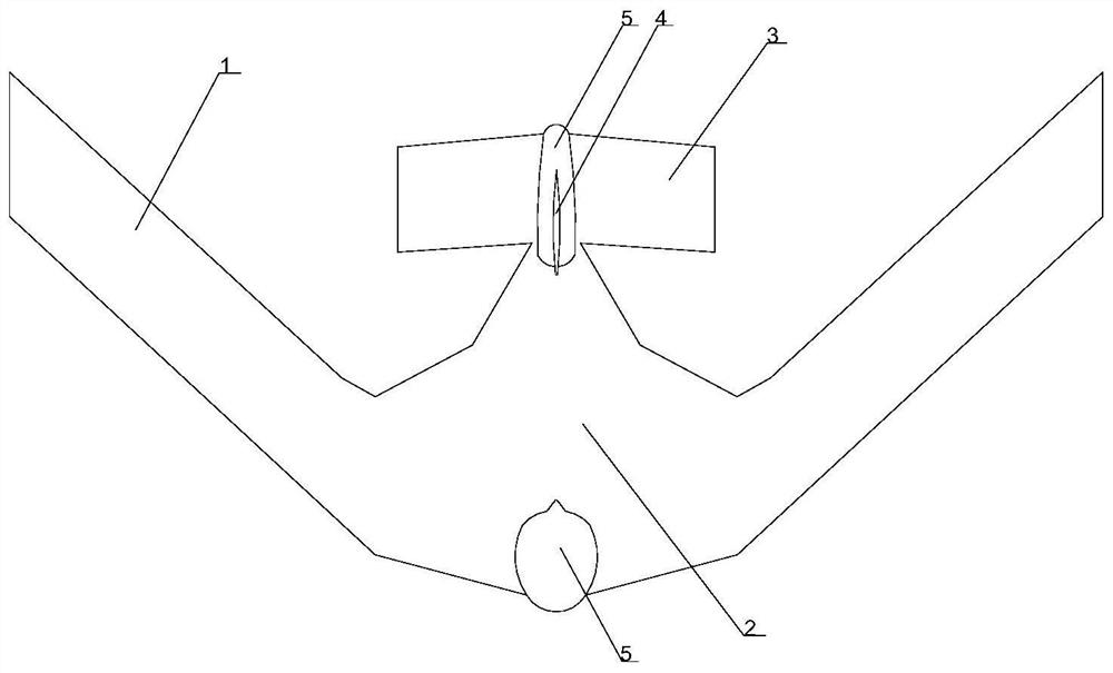 Sweepforward canard flying wing aerodynamic layout unmanned aerial vehicle