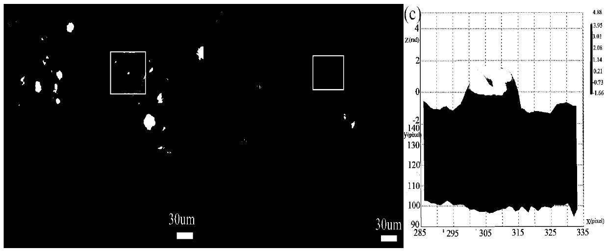 High resolution holographic microscope and method for living cell imaging