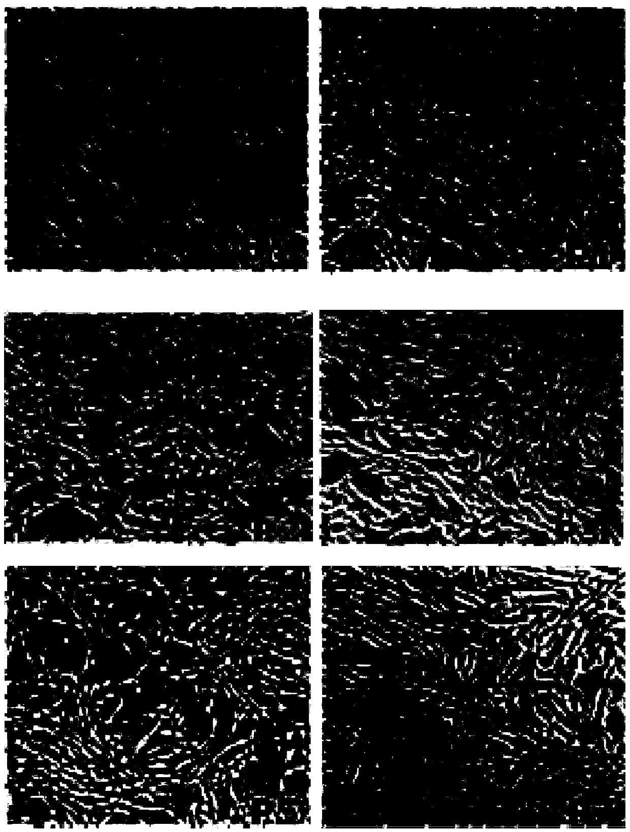 Method for simply preparing cytokines from placenta mesenchymal stem cells