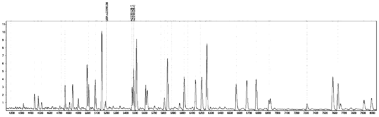 Mass spectrography method for differentiation of individualized medication of lacidipine through primer composition