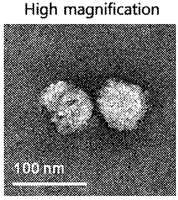 Lightening composition comprising ginseng-derived exosome-like vesicles