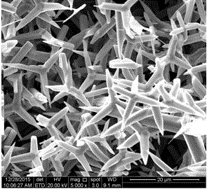 Method for quick synthesis of zinc oxide whiskers by means of microwaves