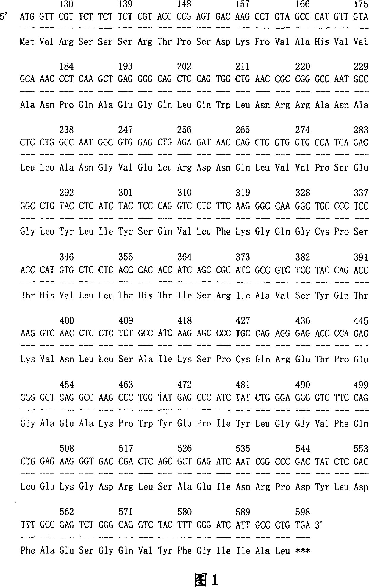 Orally applied medicine containing Nostoc which expressing human tumor necrosin factor alpha