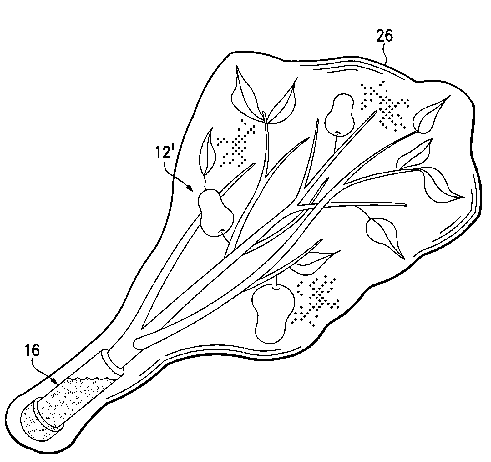 Perishable-fruit-bearing cut-limb preservation and distribution method, coating and shipping container therefor