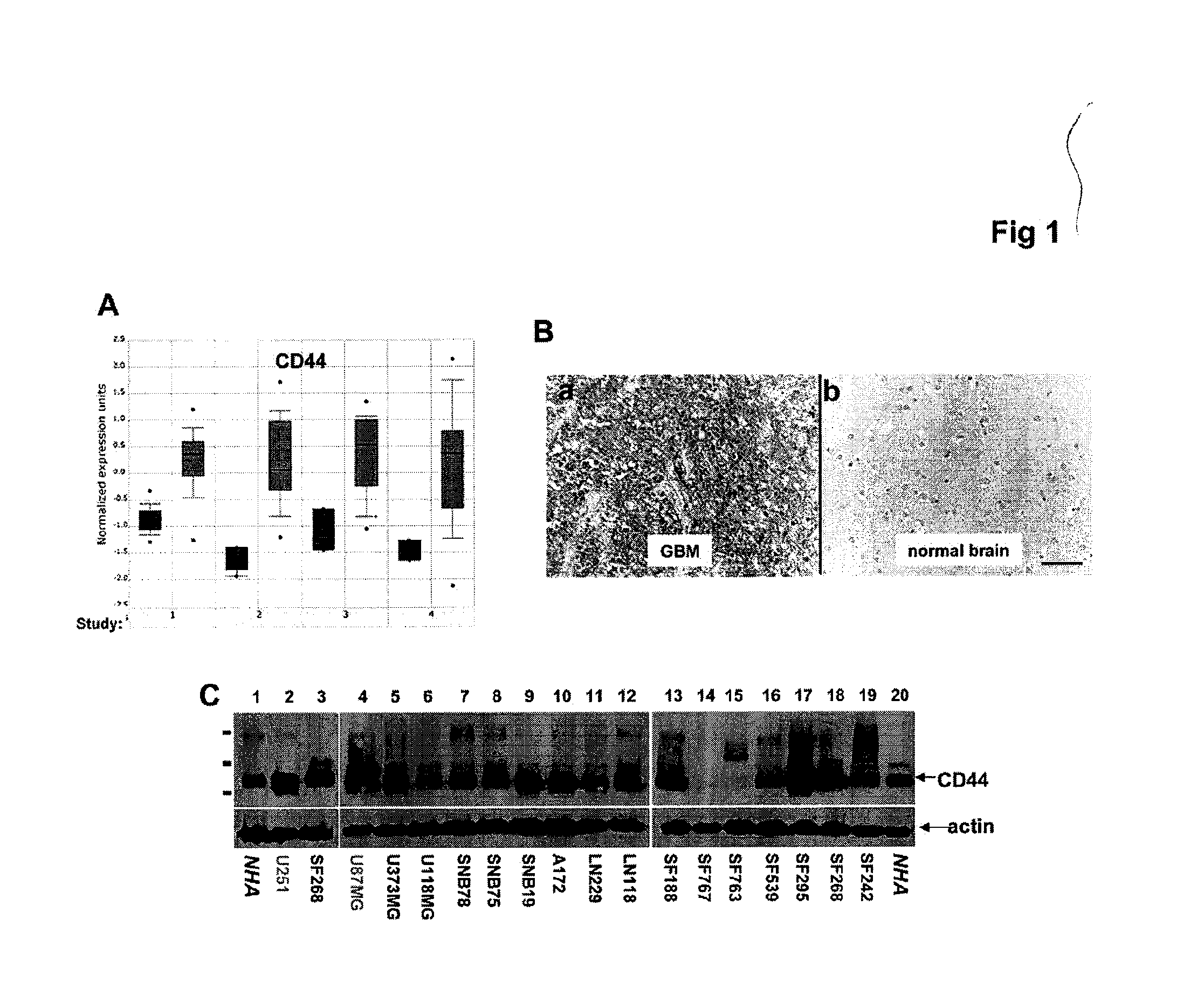 Methods of using CD44 fusion proteins to treat cancer