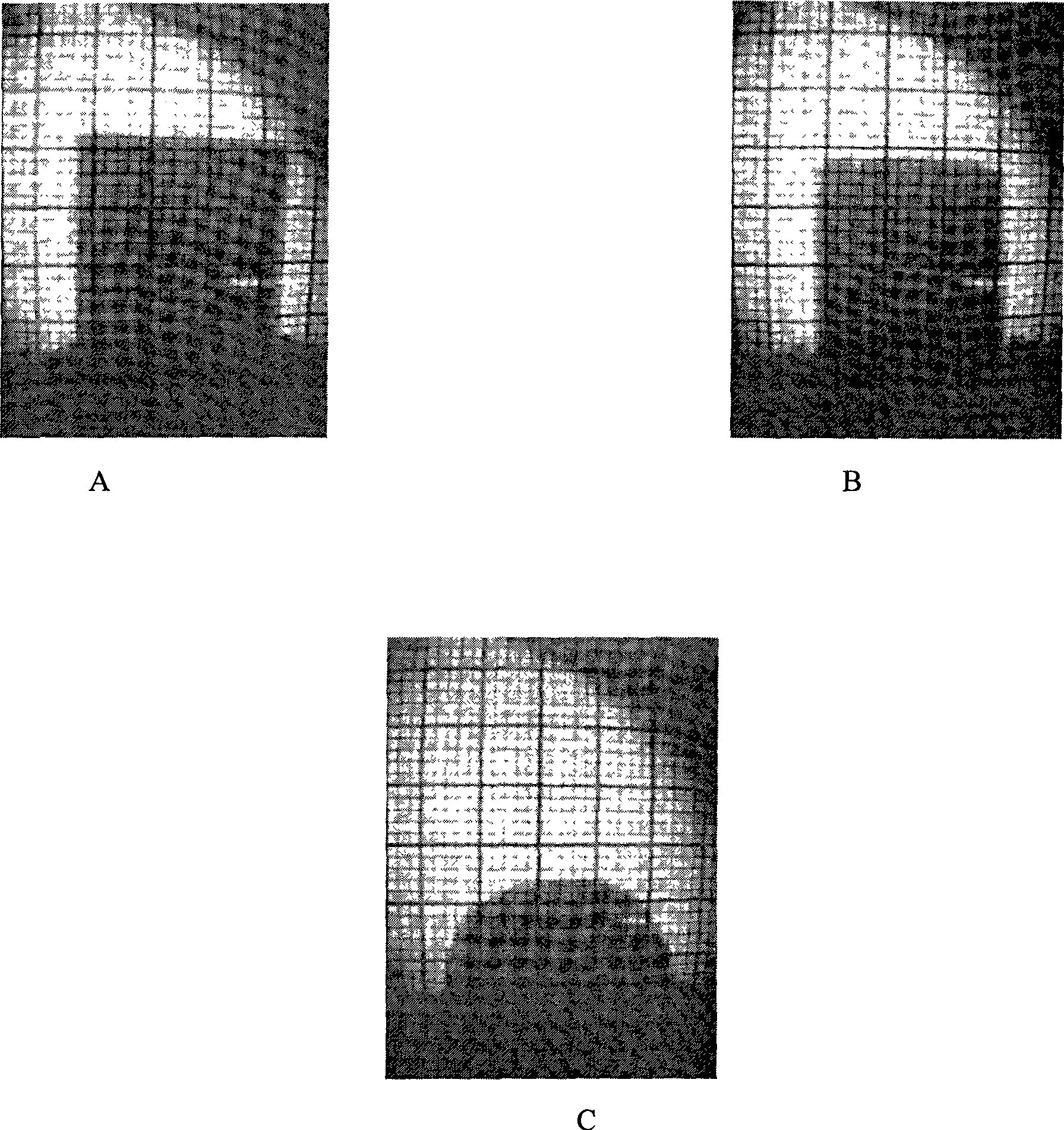 Leadless bismuth oxide sealing glass for sealing electron device and preparation method thereof