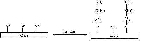 A method of grafting polymer on glass surface