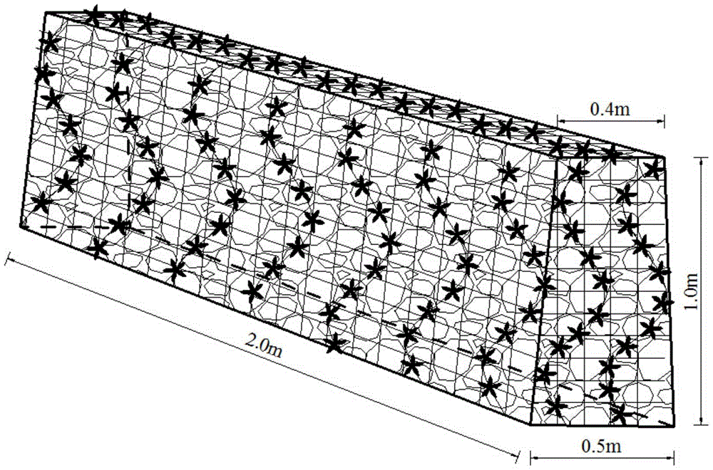 An ecological terraced ridge planted with grass gabions