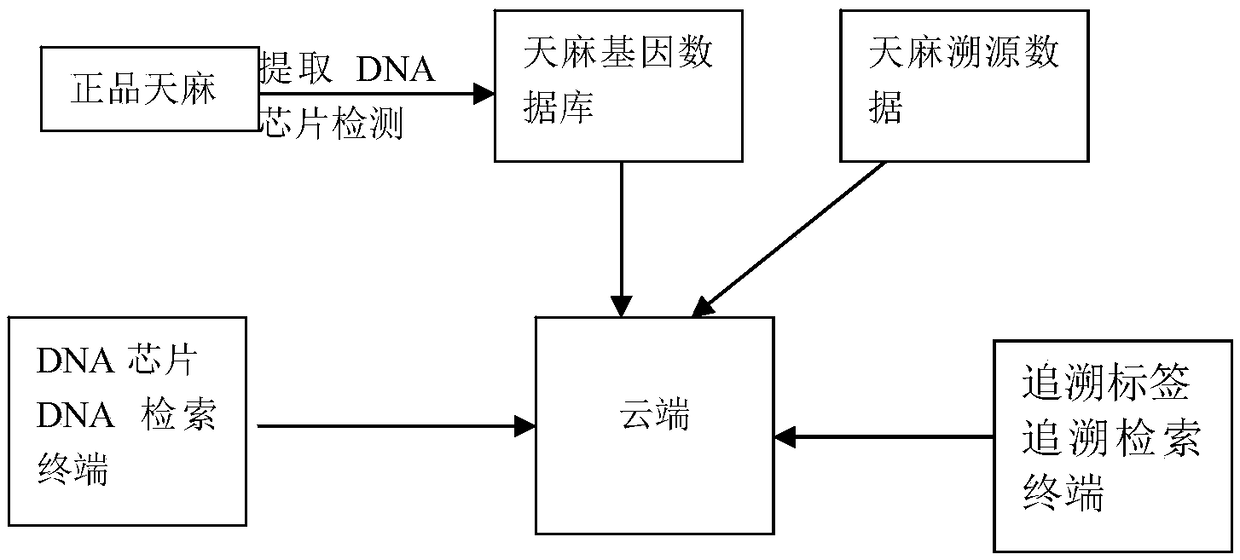 Surface plasma resonance technology-based gastrodia elata anti-counterfeiting traceability system and method