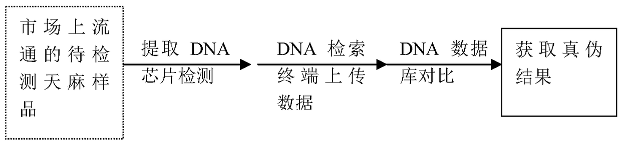 Surface plasma resonance technology-based gastrodia elata anti-counterfeiting traceability system and method