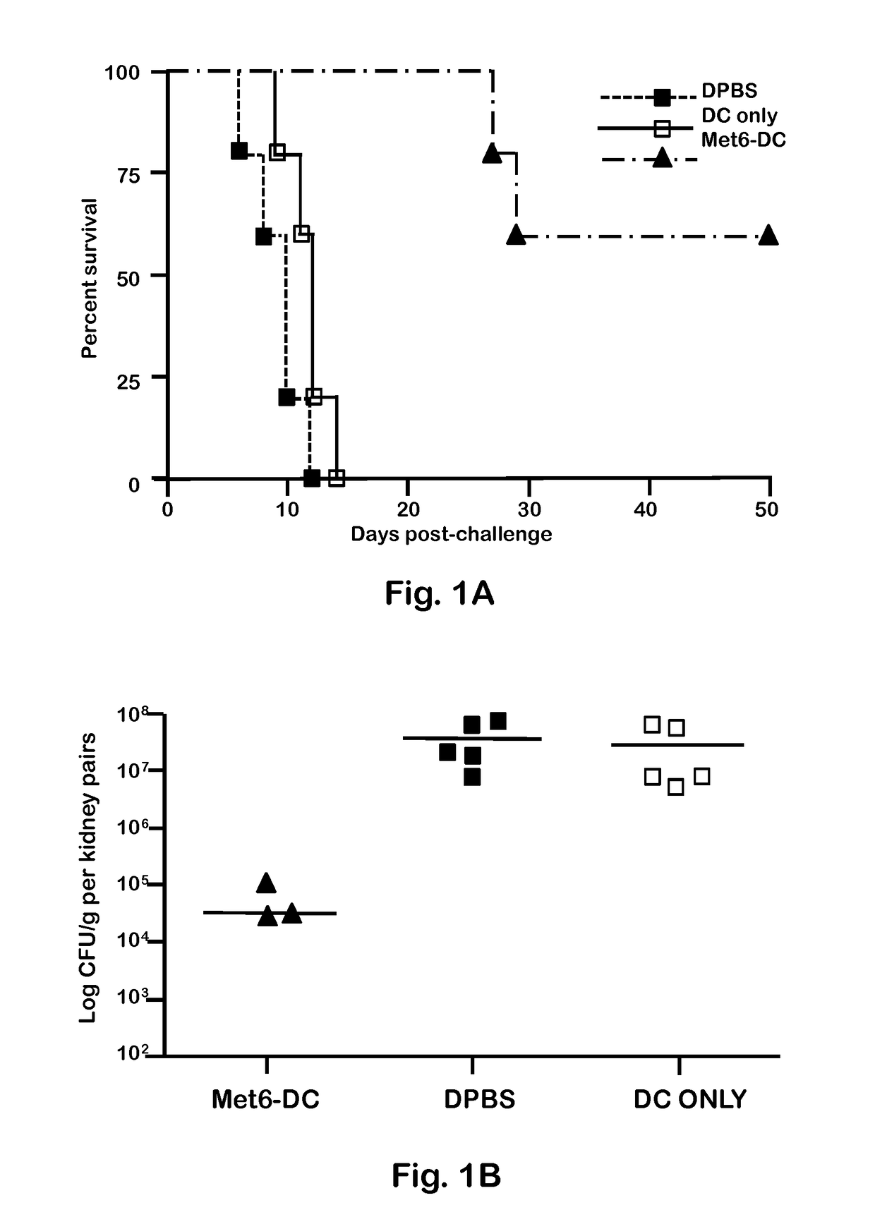 Chimeric Vaccine Against Fungal Infections